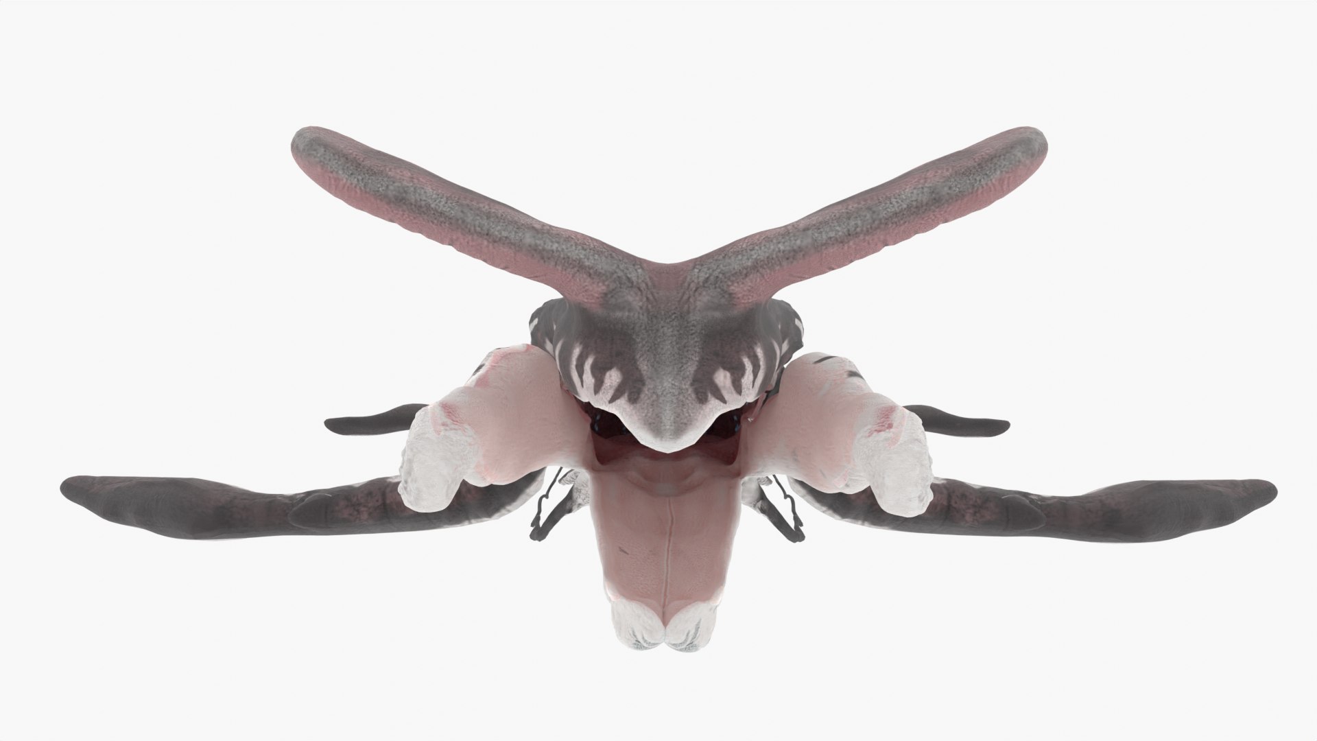 3D Payakan Tulkun From Avatar Rigged 3D Model - TurboSquid 2013151