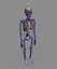 Skeleton