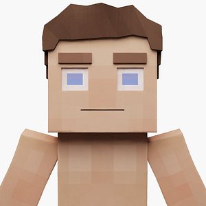 Minecraft Inspired Male Character 3D