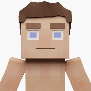 Minecraft Inspired Male Character