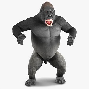 Roaring Gorilla Animated Rigged