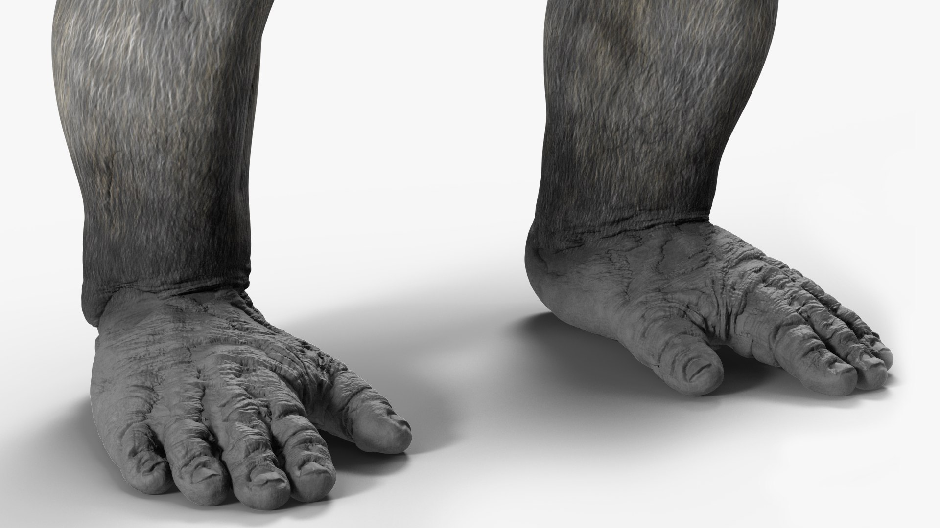 3D Roaring Gorilla Animated Rigged - TurboSquid 2295576