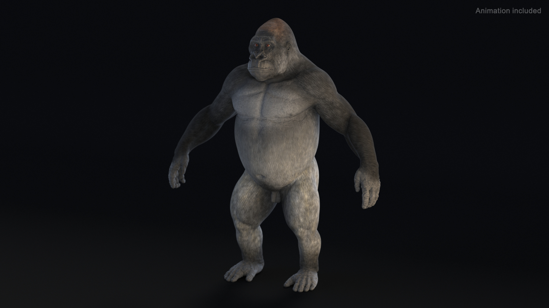3D Roaring Gorilla Animated Rigged - TurboSquid 2295576
