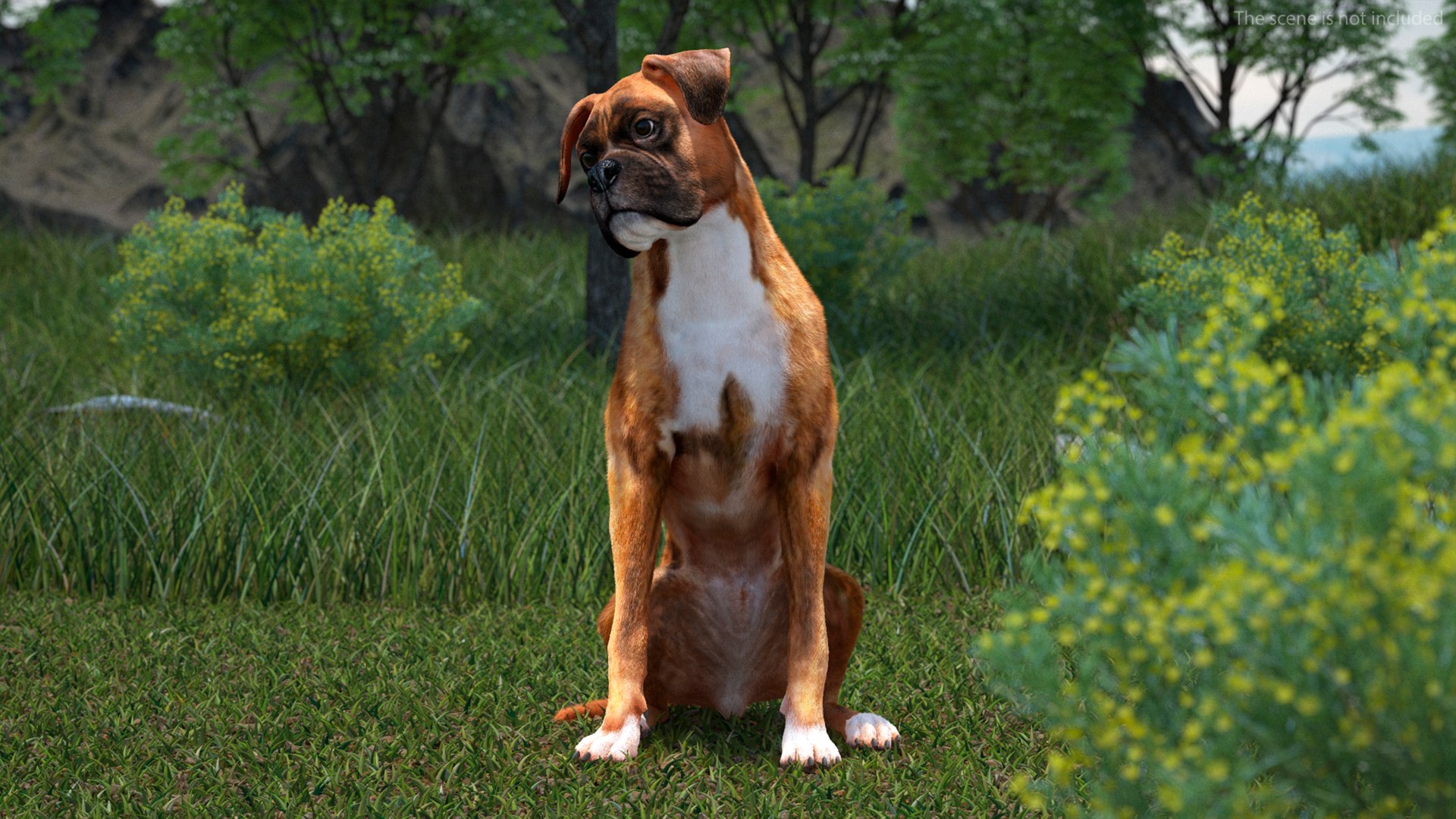 3D Model Boxer Dog Tiger Colored Fur Rigged - TurboSquid 2250553