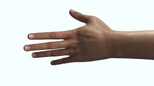 Female Hand Dark Black Skin Rigged for Cinema