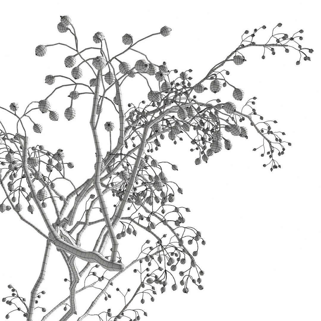 Branching Bubbles 3D - TurboSquid 2207295