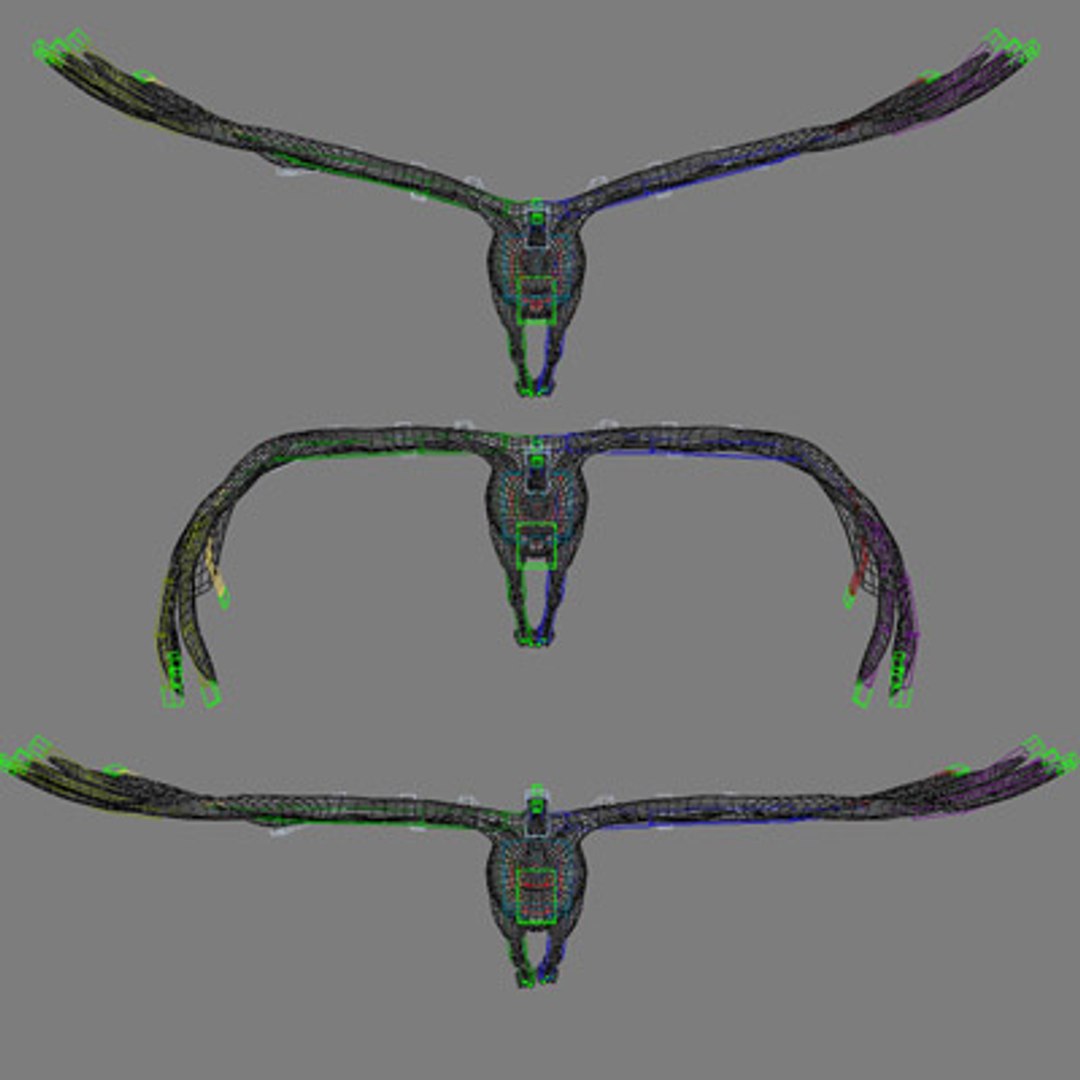 crane flight 3d model https://p.turbosquid.com/ts-thumb/d6/dyMphX/KWbJHkzk/101029cranet10/jpg/1364543625/1920x1080/fit_q87/2d1ff81ec9006581506a7f5db628df18ea538d12/101029cranet10.jpg