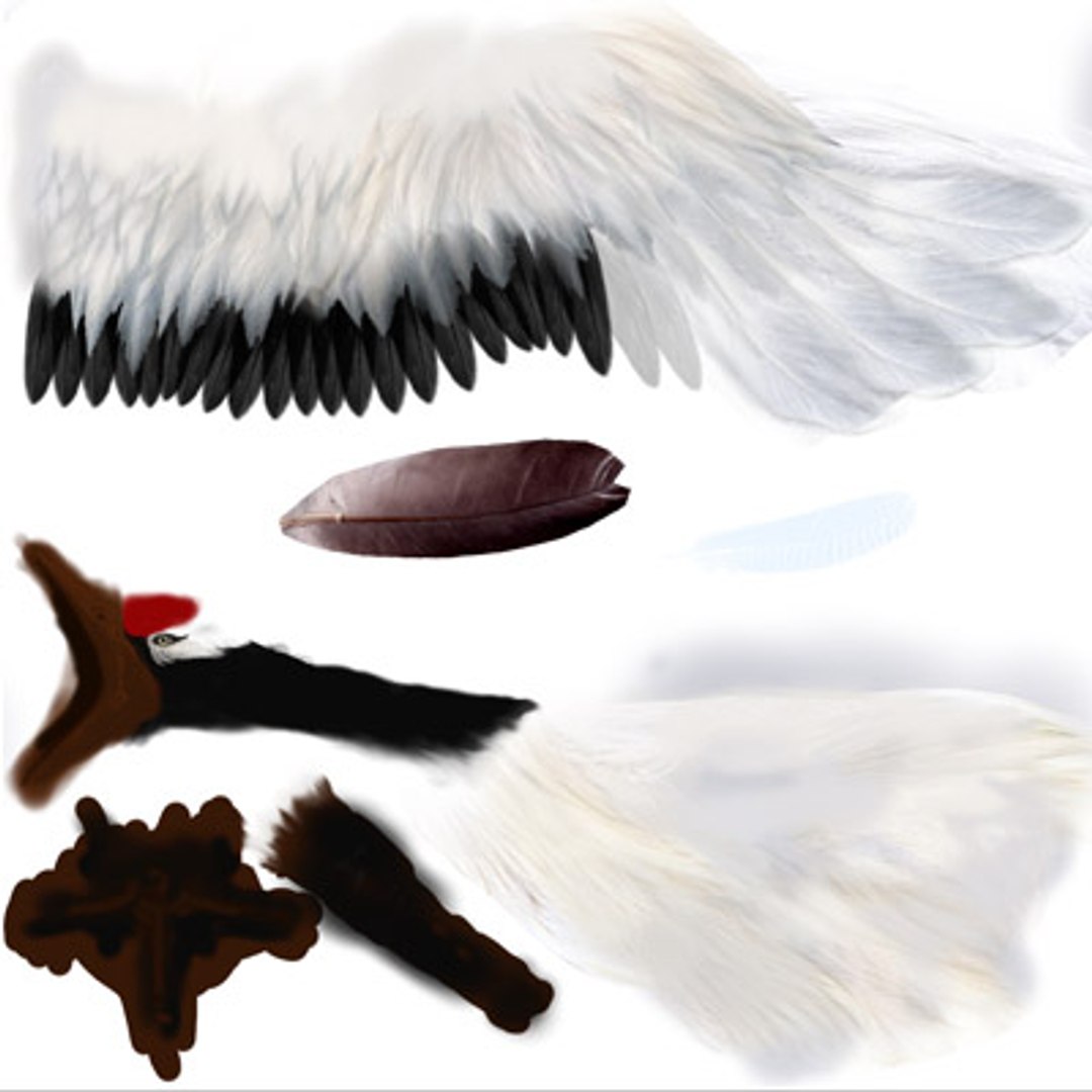 crane flight 3d model https://p.turbosquid.com/ts-thumb/d6/dyMphX/hh5kxqGs/101029cranet12/jpg/1364543625/1920x1080/fit_q87/e78a2380f66da30023acabaad3de4ea335e51bcb/101029cranet12.jpg