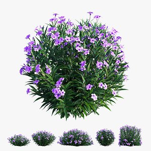 brittoniana plant set ruellia 3D