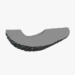 Avocado Slice  - For 3D Print 3D model