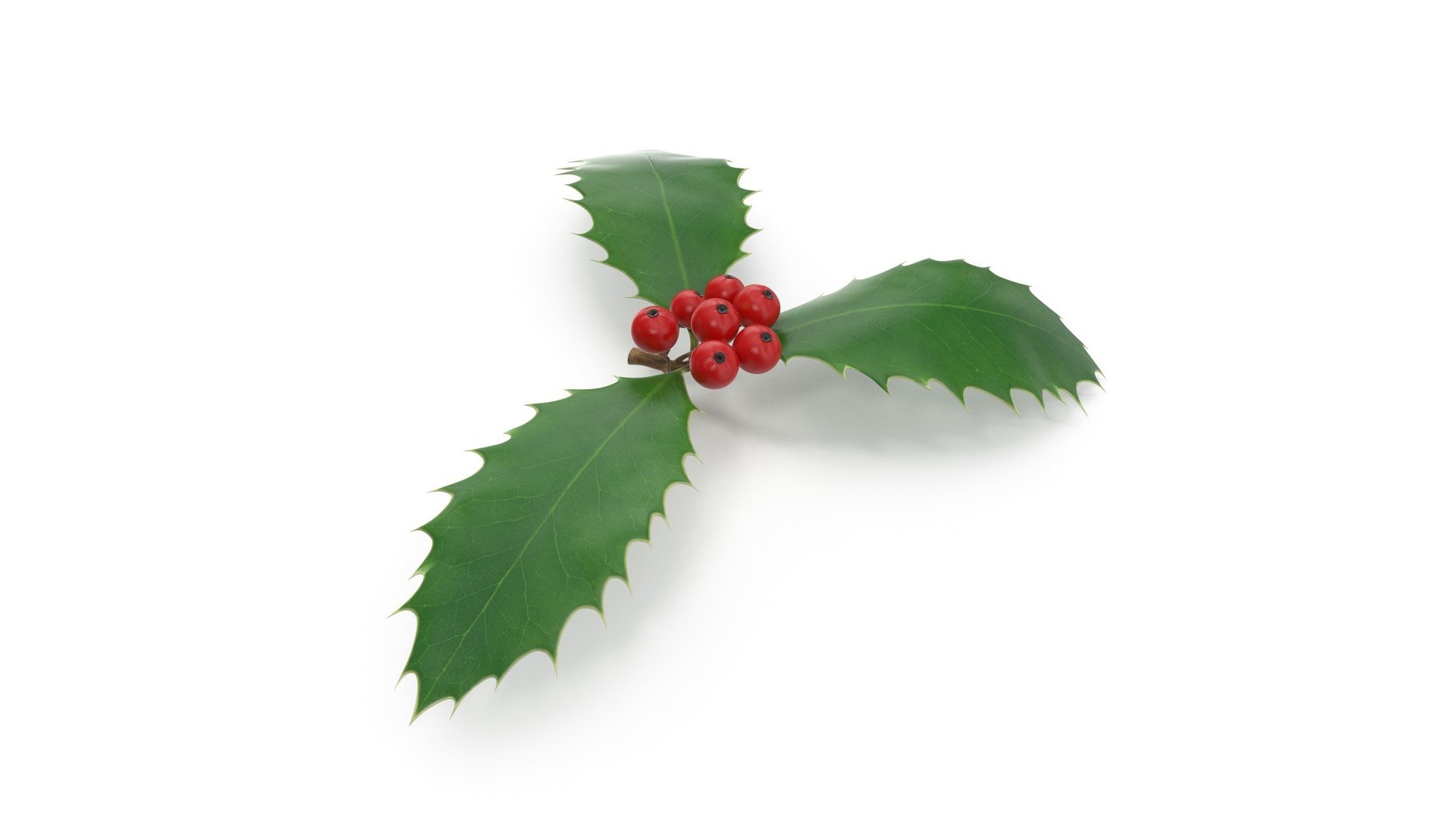 3D model Christmas Set https://p.turbosquid.com/ts-thumb/d6/uMsA83/GL/3/jpg/1742535429/1920x1080/fit_q87/c87cacd05c165b72e942f87d53cb2e2fc36a97e9/3.jpg