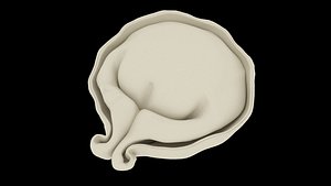 3D model Pelmen  Dumpling