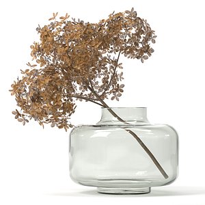 3D branch dried hydrangea model