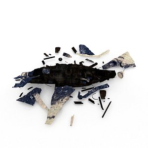 3D model crashed aircraft