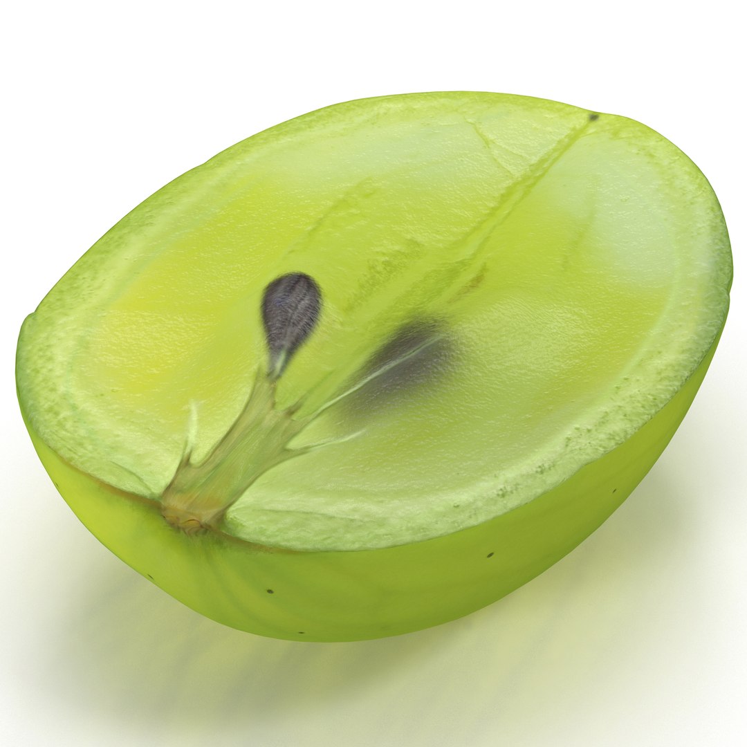 Green Grape Cross Section 2 3D model preview