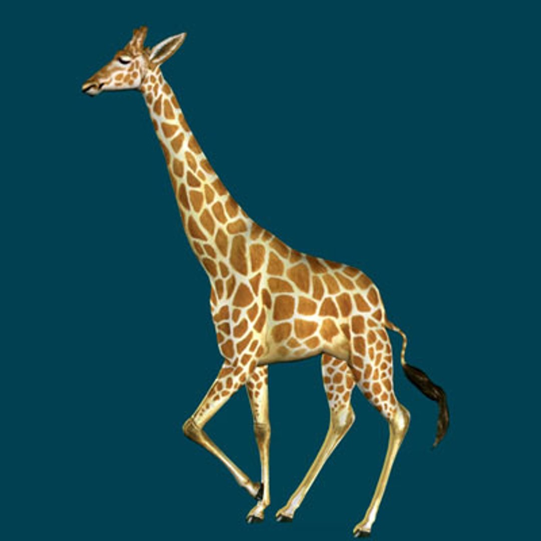 animal 3d model https://p.turbosquid.com/ts-thumb/d7/eKMyne/9uApjTHs/giraffe_sid/jpg/1068671050/1920x1080/fit_q87/9fcd64116d3e37c6ff1d67c92135fd143c7a3303/giraffe_sid.jpg