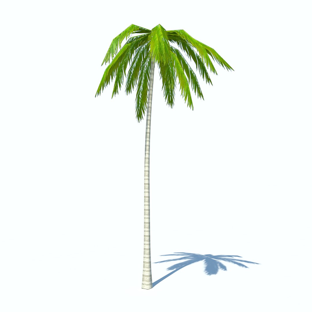obj palms low-poly https://p.turbosquid.com/ts-thumb/d7/kvxOy5/9HwjJaZY/palm_v2_01/jpg/1465387029/1920x1080/fit_q87/6d8f3757fb8154149bb4955e70e143d6b076d434/palm_v2_01.jpg