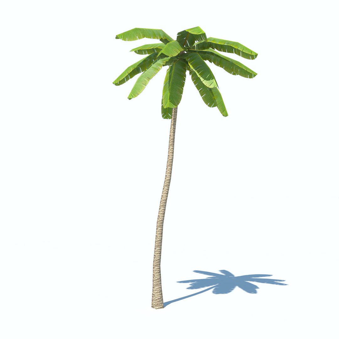 obj palms low-poly https://p.turbosquid.com/ts-thumb/d7/kvxOy5/BdrH4Ufd/palm_v1_01/jpg/1465387029/1920x1080/fit_q87/b56eace1911126c83c084bbae829f2dc96684f5b/palm_v1_01.jpg