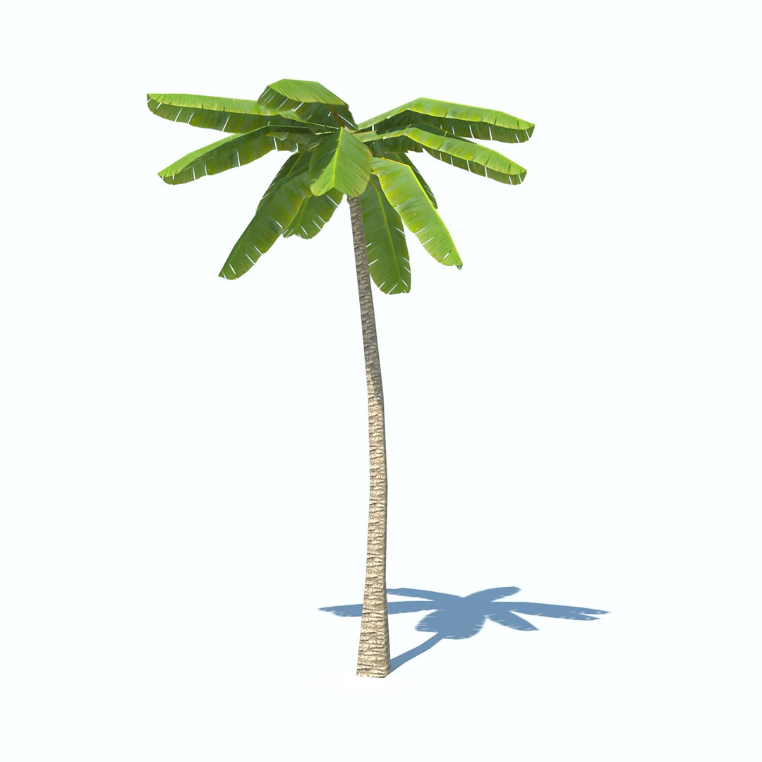 obj palms low-poly https://p.turbosquid.com/ts-thumb/d7/kvxOy5/CIwAHW3L/palm_v1_03/jpg/1465387029/1920x1080/fit_q87/c7f1b4f08b0aa580b1ab6091e5db49f1dc1cce23/palm_v1_03.jpg