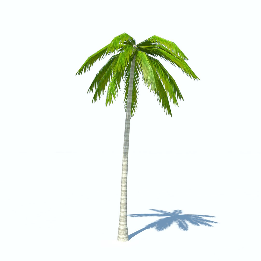 obj palms low-poly https://p.turbosquid.com/ts-thumb/d7/kvxOy5/LYutYKI9/palm_v2_03/jpg/1465387029/1920x1080/fit_q87/db4f438d44aebd69b5437c72613a39821177002c/palm_v2_03.jpg