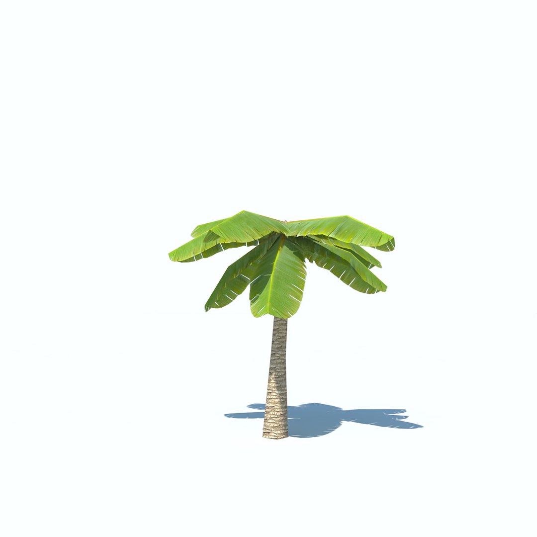 obj palms low-poly https://p.turbosquid.com/ts-thumb/d7/kvxOy5/MbpVML82/palm_v1_04/jpg/1465387029/1920x1080/fit_q87/eb9c5e349516bc95f36ba178e5b7a89b4360c4f2/palm_v1_04.jpg