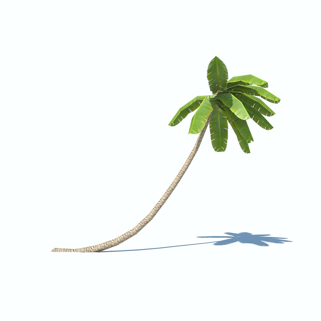 obj palms low-poly https://p.turbosquid.com/ts-thumb/d7/kvxOy5/gVpT1cRj/palm_v1_02/jpg/1465387029/1920x1080/fit_q87/6f4f3b23089aea60f851f099f8d1a951ffc03bc8/palm_v1_02.jpg