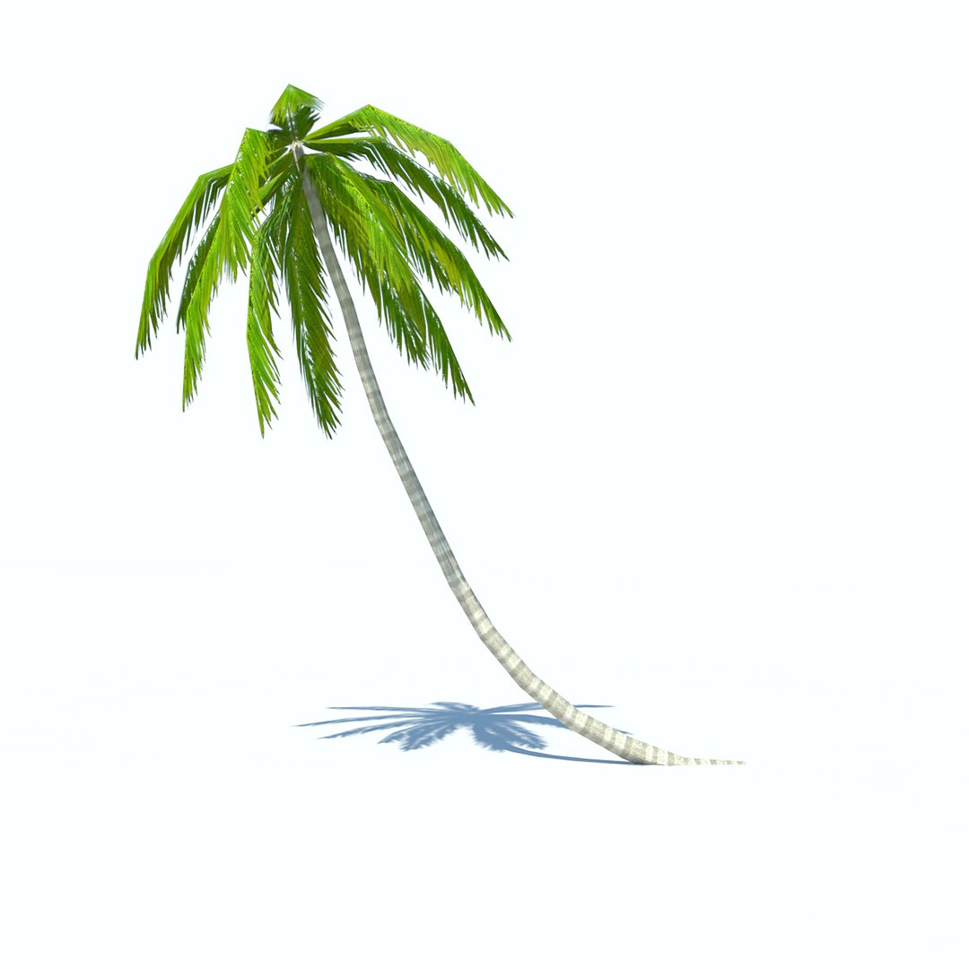 obj palms low-poly https://p.turbosquid.com/ts-thumb/d7/kvxOy5/pQdUalsC/palm_v2_02/jpg/1465387029/1920x1080/fit_q87/0556ae73d58f6f1817da7d891fd99337cc4d6278/palm_v2_02.jpg