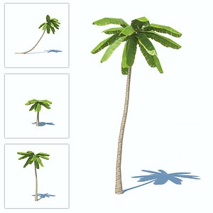 Palms low-poly