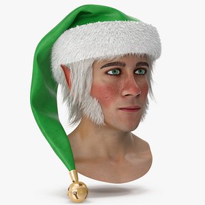Christmas Elf Head 3