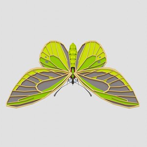 3D Green birdwing butterfly