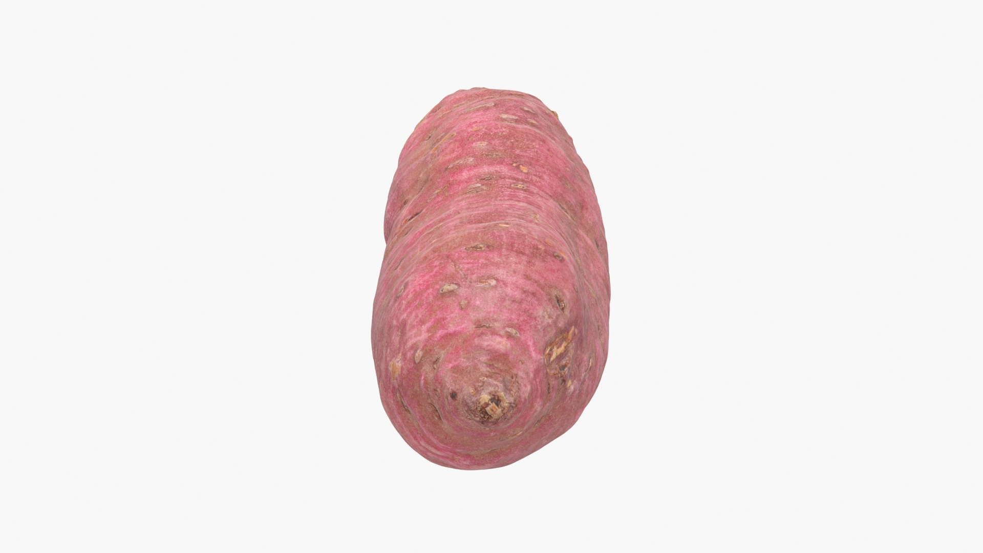 3D model Sweet Potato 06 https://p.turbosquid.com/ts-thumb/d8/3mNtOR/4z/sweetpotato06/jpg/1691165231/1920x1080/turn_fit_q99/70bc6ff27284a0e5d4a70d4a5586e99cd1002830/sweetpotato06-1.jpg