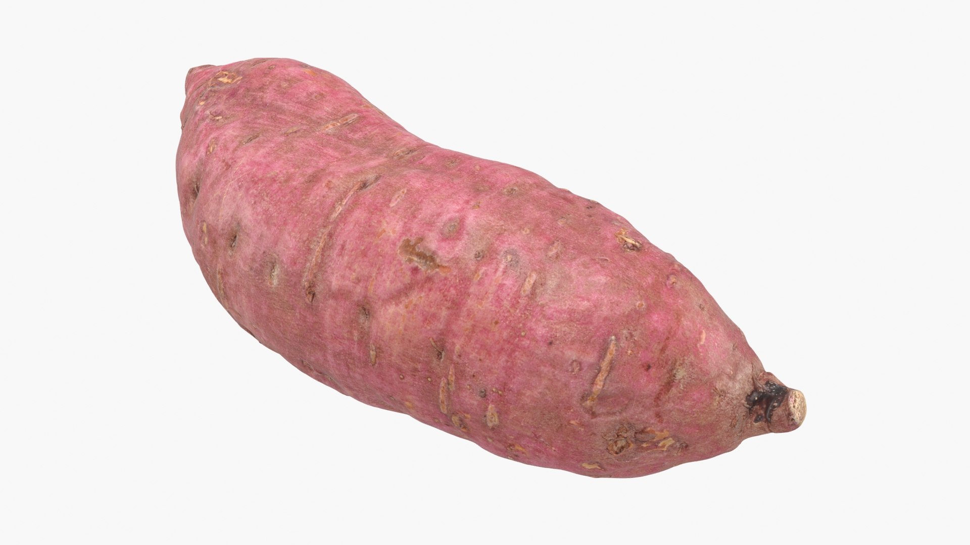3D model Sweet Potato 06 https://p.turbosquid.com/ts-thumb/d8/3mNtOR/J6/sweetpotato06_b0020/jpg/1691165224/1920x1080/fit_q87/e22a233043ed8f9ef2e80bc5f098aa9cee297116/sweetpotato06_b0020.jpg