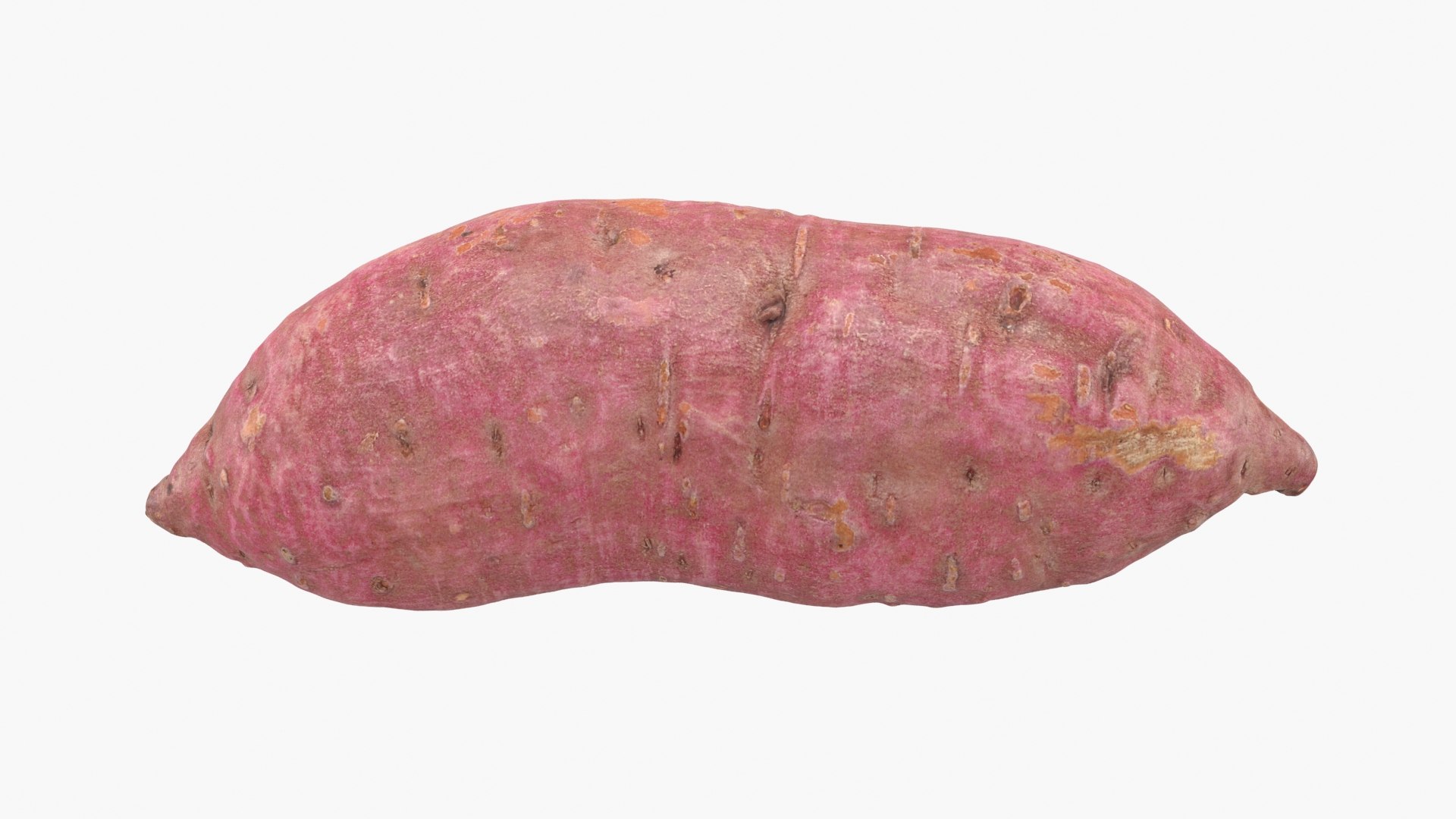 3D model Sweet Potato 06 https://p.turbosquid.com/ts-thumb/d8/3mNtOR/U8/sweetpotato06_b0000/jpg/1691165216/1920x1080/fit_q87/69c809eae19dd9aa9038169394c49bd4b899e186/sweetpotato06_b0000.jpg