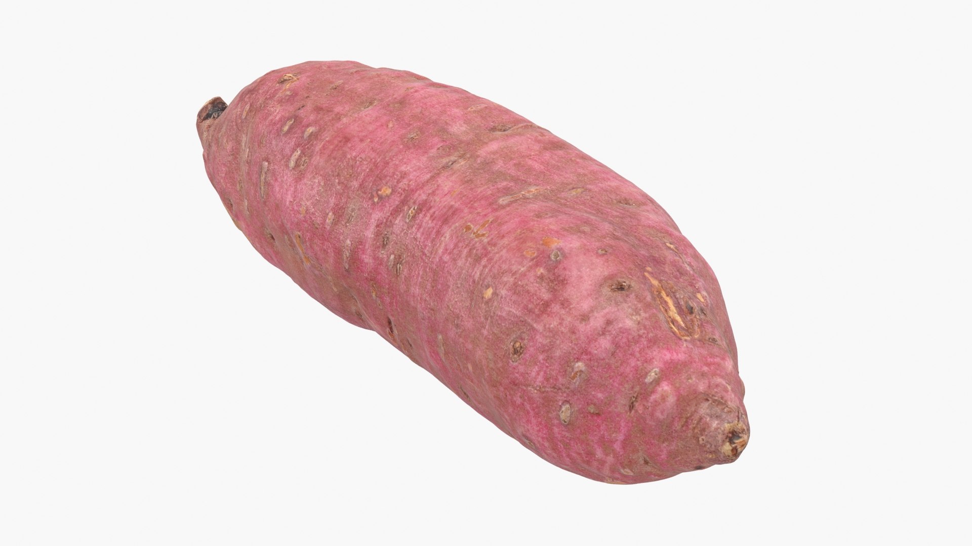 3D model Sweet Potato 06 https://p.turbosquid.com/ts-thumb/d8/3mNtOR/bC/sweetpotato06_b0024/jpg/1691165228/1920x1080/fit_q87/da497bc72e7a3d4840c77ca694d353d1a080bdb9/sweetpotato06_b0024.jpg