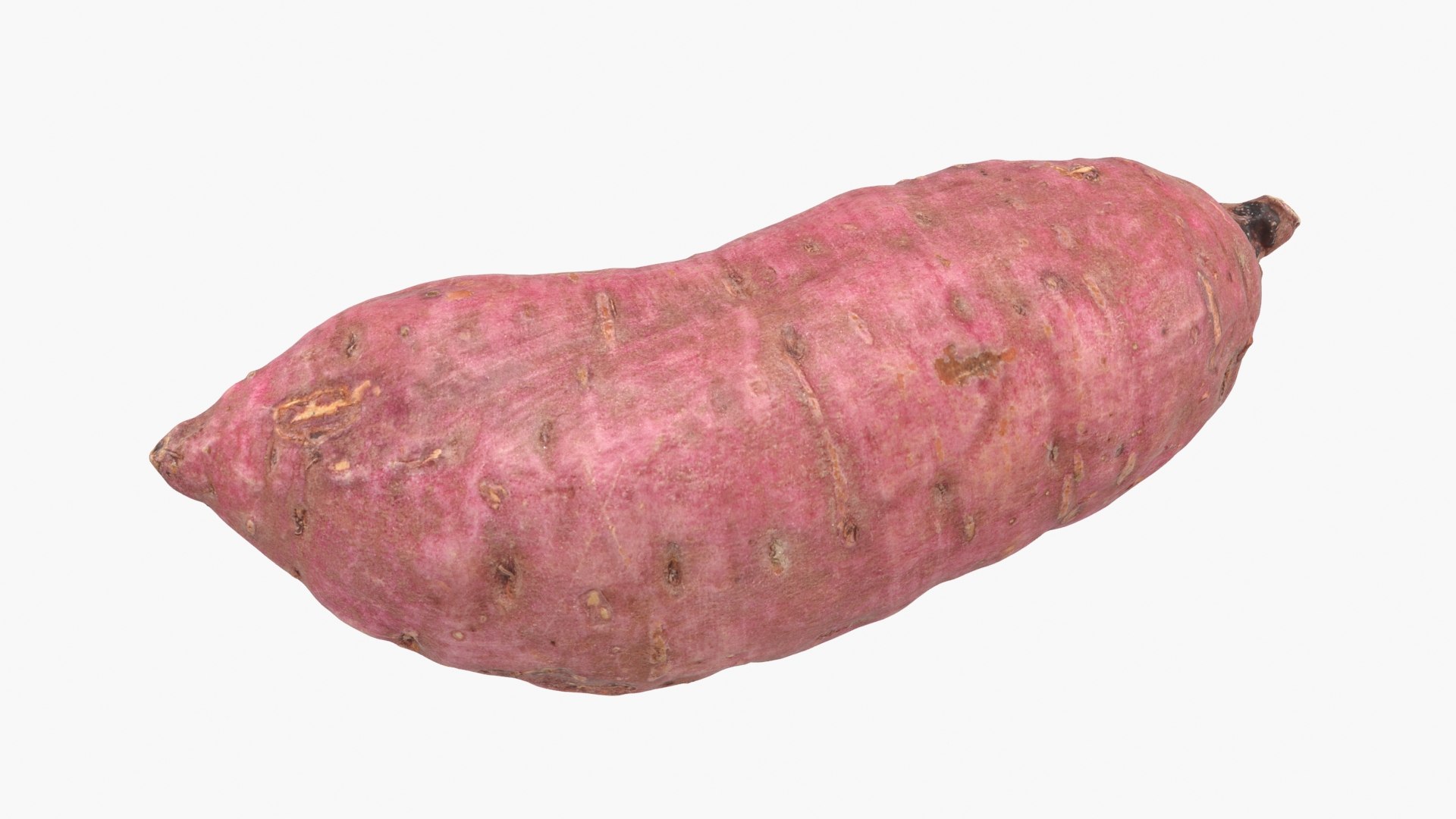 3D model Sweet Potato 06 https://p.turbosquid.com/ts-thumb/d8/3mNtOR/cN/sweetpotato06_b0018/jpg/1691165224/1920x1080/fit_q87/32ec841bdbaa1e1ec4404e3486323cf6222e6665/sweetpotato06_b0018.jpg