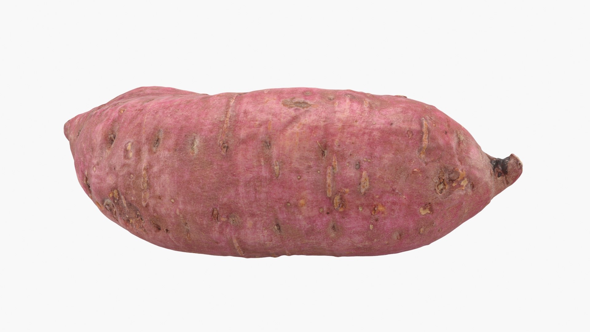 3D model Sweet Potato 06 https://p.turbosquid.com/ts-thumb/d8/3mNtOR/cQ/sweetpotato06_b0022/jpg/1691165225/1920x1080/fit_q87/09da1bba70811b4a364914d305715ad4936efde3/sweetpotato06_b0022.jpg