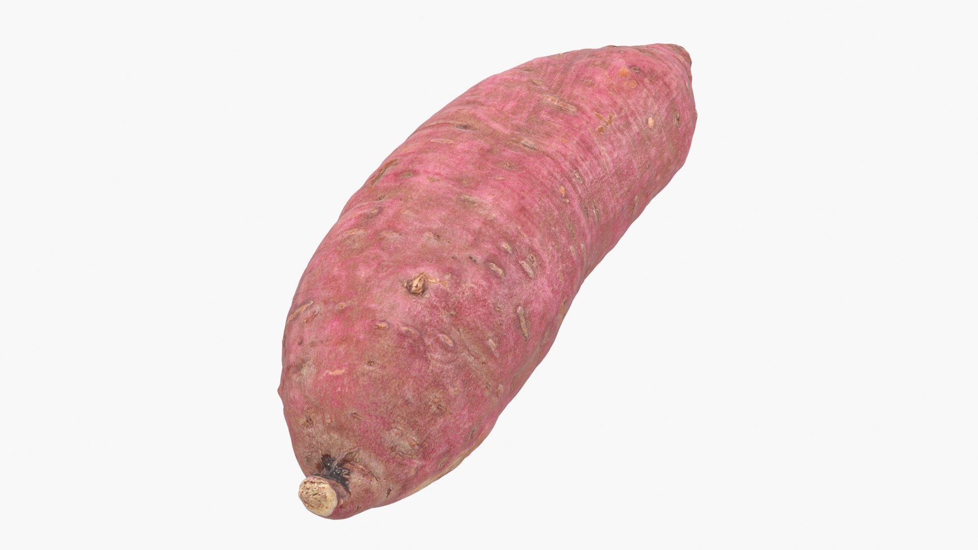 3D model Sweet Potato 06 https://p.turbosquid.com/ts-thumb/d8/3mNtOR/m7/sweetpotato06_b0014/jpg/1691165222/1920x1080/fit_q87/3c447d534bd37c942e94088ca049135bed9cd200/sweetpotato06_b0014.jpg