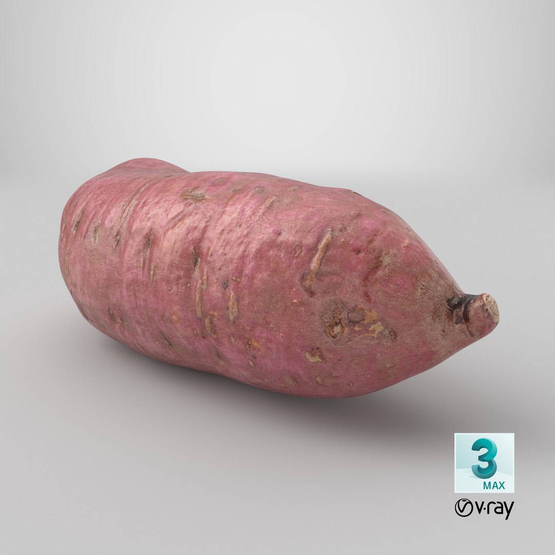 3D model Sweet Potato 06 https://p.turbosquid.com/ts-thumb/d8/3mNtOR/st/stemcell_max_vray_render/png/1693325681/1920x1080/fit_q87/4bf1701dcecc8b86336927b1a216ff4196eb7663/stemcell_max_vray_render.jpg
