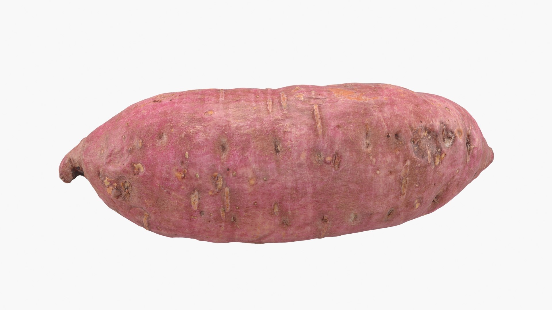 3D model Sweet Potato 06 https://p.turbosquid.com/ts-thumb/d8/3mNtOR/tv/sweetpotato06_b0006/jpg/1691165217/1920x1080/fit_q87/ea6ca93ed10ad9e56b24ddbb8034a49fd1e5383a/sweetpotato06_b0006.jpg