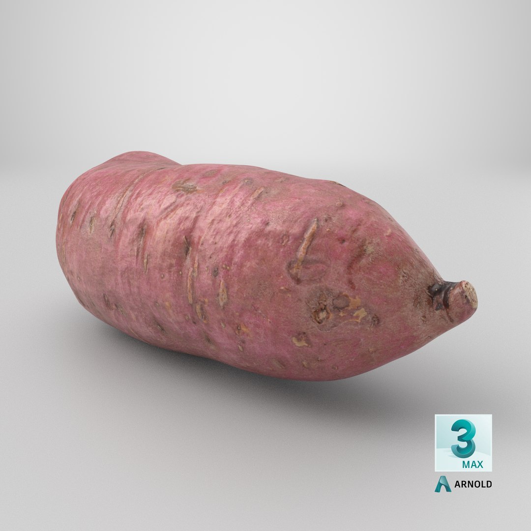 3D model Sweet Potato 06 https://p.turbosquid.com/ts-thumb/d8/3mNtOR/zr/stemcell_max_arnold_render/png/1693325683/1920x1080/fit_q87/7890a9c058c110764ac7400ecbb03827a8b278f0/stemcell_max_arnold_render.jpg