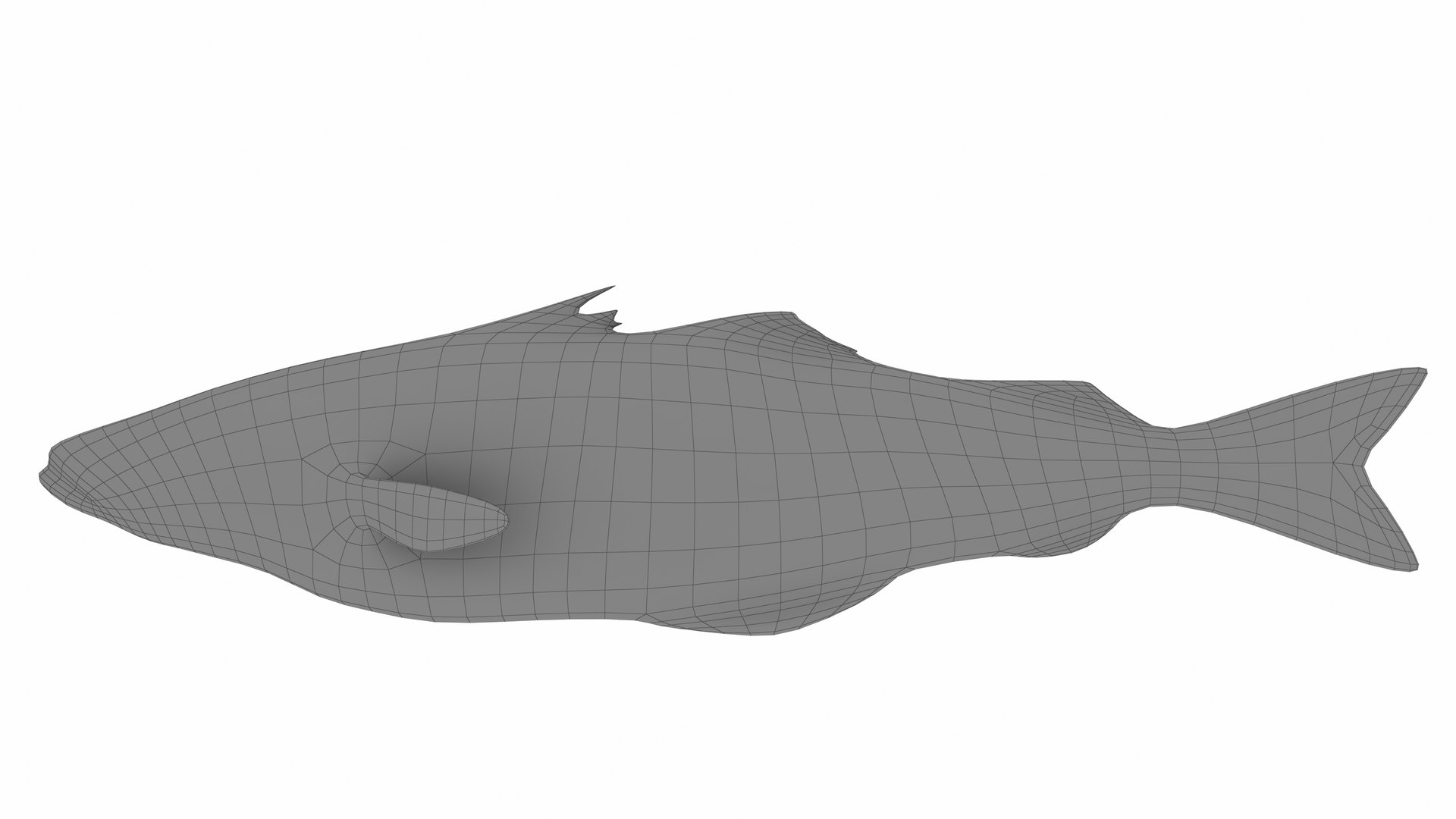 3D model Pollock Fish https://p.turbosquid.com/ts-thumb/d8/4cHrmX/lv/pollock12/jpg/1742700591/1920x1080/fit_q87/4e6d26cdc1b5486c1e7d1742166d7eb56df49f8f/pollock12.jpg