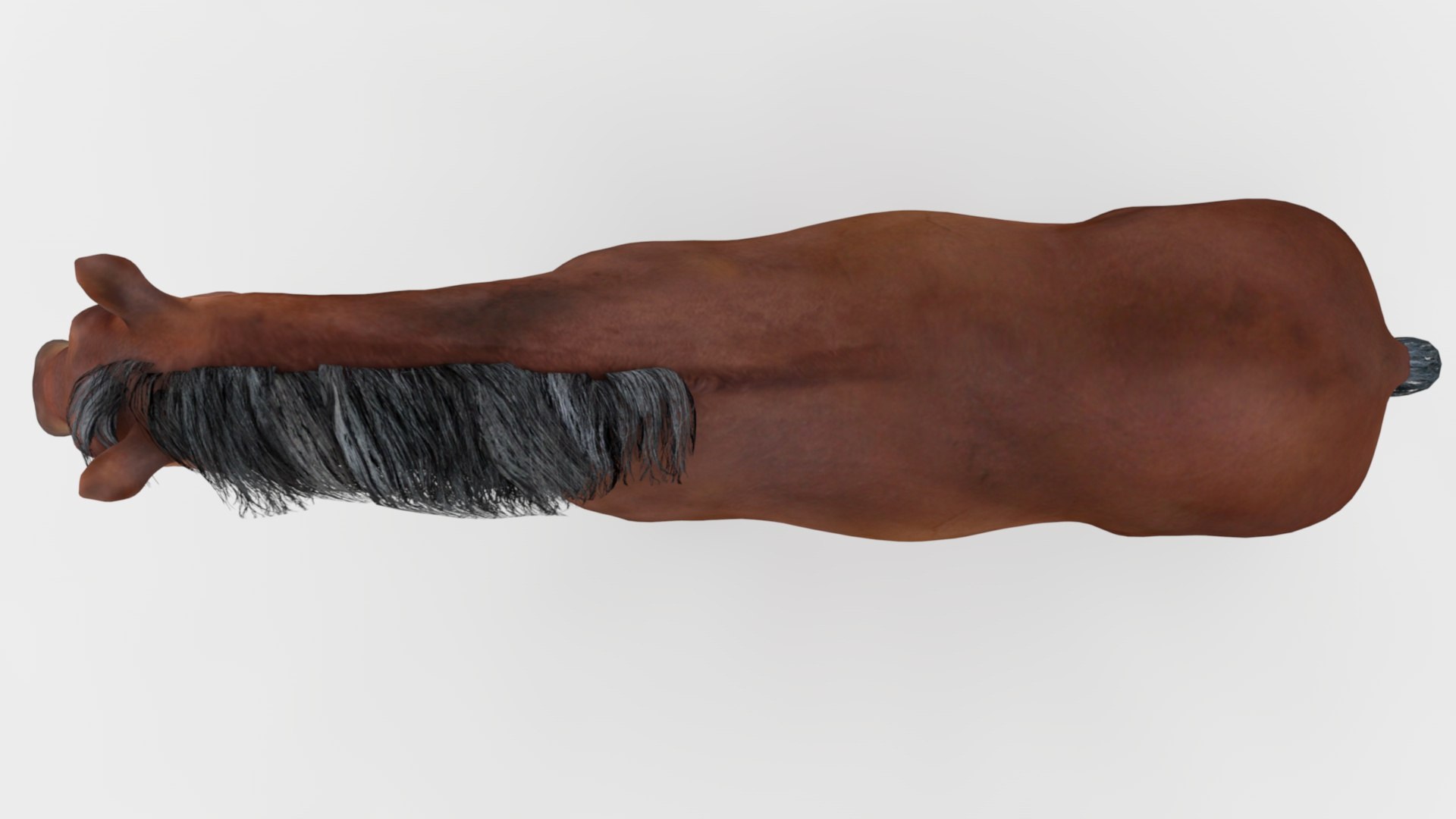 3D Realistic Horse Model - TurboSquid 2348752