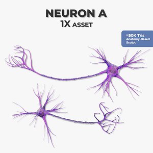 neuron cell fbx