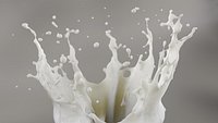 Crone Splash