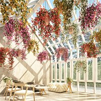 hanging plants 8