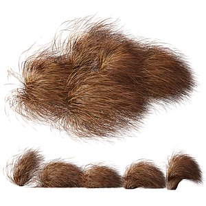 3D HQ Plants Carex Testacea Orange Sedge Grass Prairie Fire Version5 model