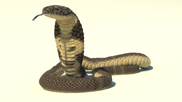 Serpente 3D Modelos para Baizar