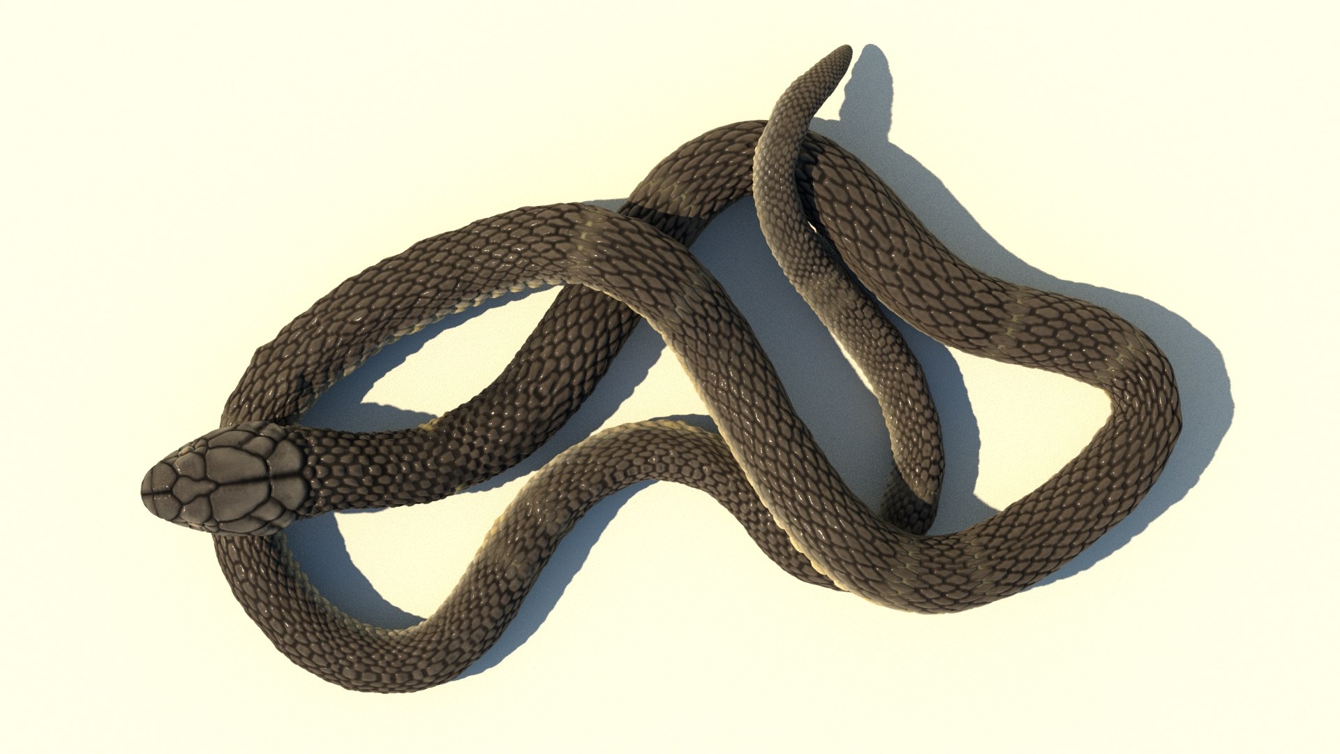 Snake 3D model - TurboSquid 1673842