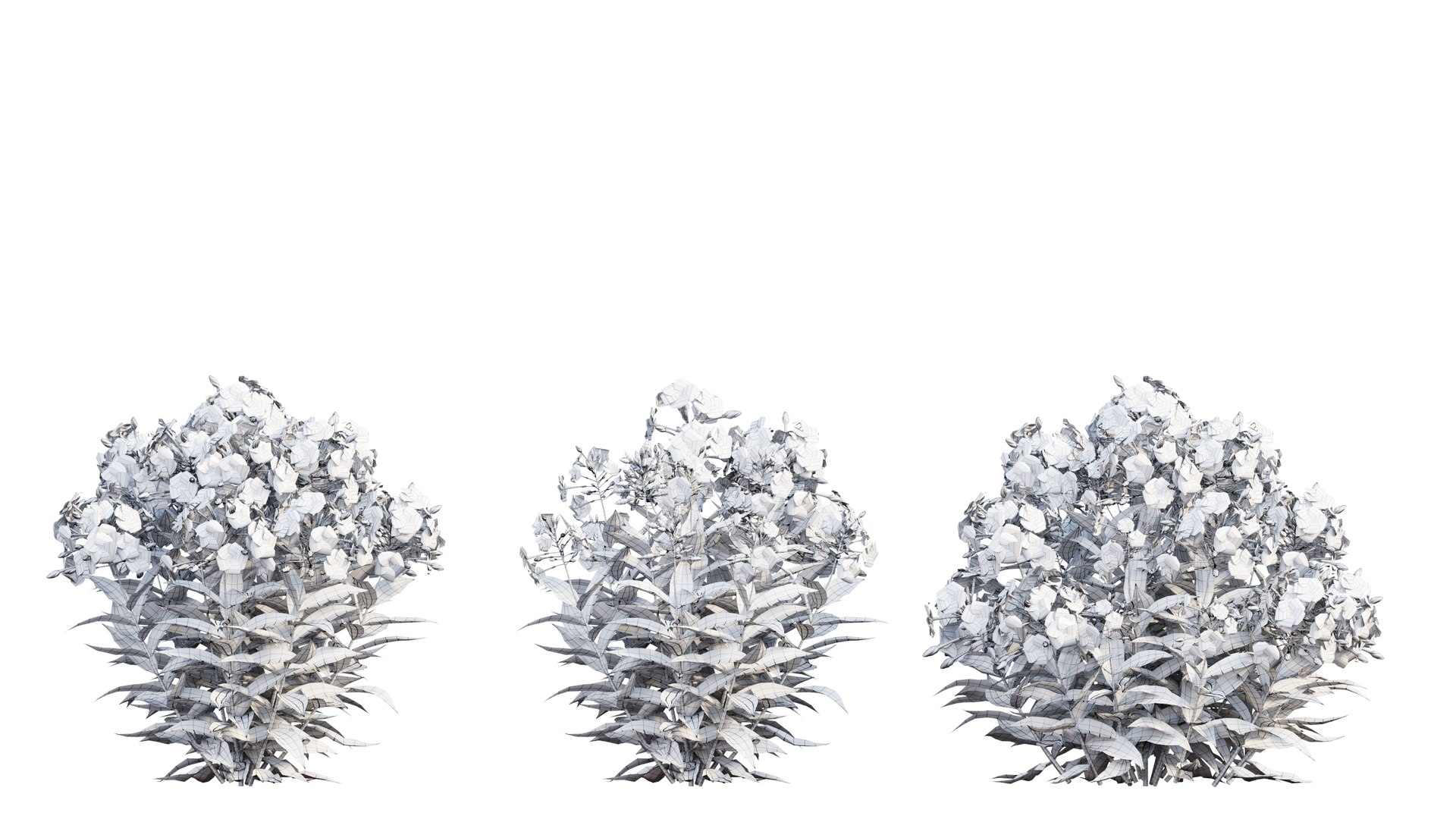 3D model Phlox paniculata blue 02 https://p.turbosquid.com/ts-thumb/d8/XjDaxy/5B/2/png/1664427163/1920x1080/fit_q87/bba8dc4ea8c9b67a9d1f72071c6bd5b75f4e8f6a/2.jpg