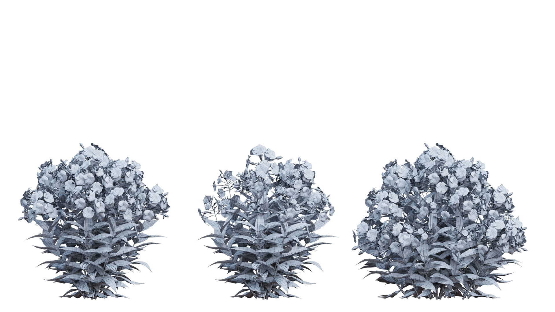 3D model Phlox paniculata blue 02 https://p.turbosquid.com/ts-thumb/d8/XjDaxy/Bq/2_environmentmap52/png/1664427164/1920x1080/fit_q87/f41e24071914dd9b48a4d9521e8a853dea3097b4/2_environmentmap52.jpg